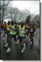 DSC_3529.jpg  (76.7 Kb)