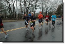 DSC_3915.jpg  (115.7 Kb)