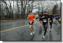 DSC_3937.jpg  (115.0 Kb)