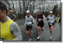 DSC_3988.jpg  (108.3 Kb)