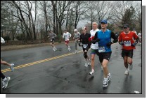 DSC_4002.jpg  (115.2 Kb)