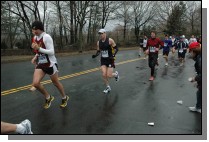 DSC_4103.jpg  (106.0 Kb)