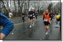 DSC_4127.jpg  (111.0 Kb)