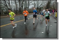 DSC_4173.jpg  (108.2 Kb)