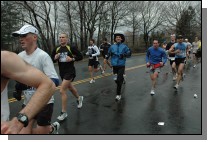 DSC_4205.jpg  (107.0 Kb)