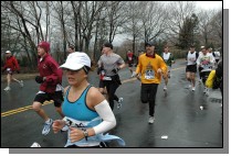 DSC_4228.jpg  (117.5 Kb)