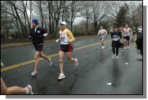 DSC_4237.jpg  (108.8 Kb)