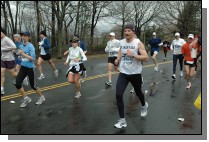 DSC_4336.jpg  (113.4 Kb)