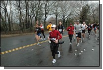 DSC_4352.jpg  (114.3 Kb)