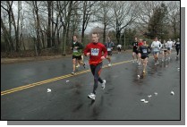 DSC_4365.jpg  (107.6 Kb)