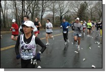 DSC_4374.jpg  (108.2 Kb)