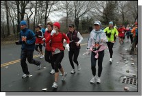 DSC_6234.jpg  (102.3 Kb)