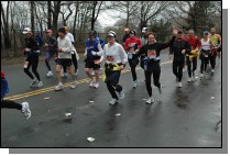 DSC_6244.jpg  (108.2 Kb)