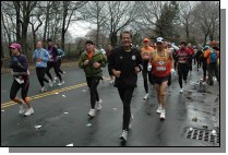 DSC_6255.jpg  (113.0 Kb)