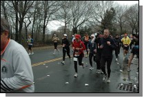 DSC_6290.jpg  (113.2 Kb)