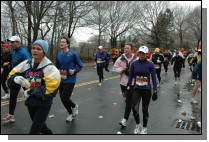 DSC_6293.jpg  (119.2 Kb)