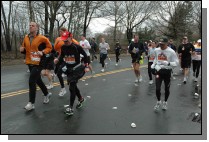 DSC_6296.jpg  (110.5 Kb)