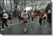 DSC_6303.jpg  (116.5 Kb)