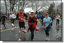 DSC_6311.jpg  (119.0 Kb)