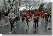 DSC_6339.jpg  (119.5 Kb)