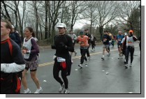 DSC_6353.jpg  (113.2 Kb)