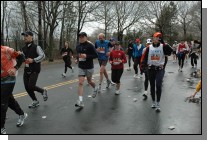 DSC_6354.jpg  (113.5 Kb)