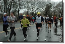 DSC_6369.jpg  (116.9 Kb)