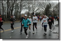 DSC_6374.jpg  (113.2 Kb)