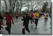 DSC_6377.jpg  (111.5 Kb)