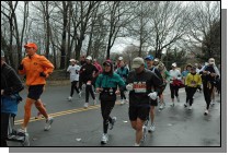 DSC_6384.jpg  (123.8 Kb)