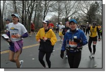 DSC_6402.jpg  (112.6 Kb)