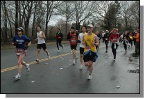 DSC_6407.jpg  (110.1 Kb)