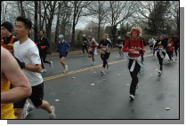 DSC_6408.jpg  (103.8 Kb)