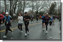 DSC_6433.jpg  (115.1 Kb)