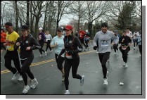 DSC_6436.jpg  (113.0 Kb)