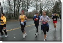 DSC_6441.jpg  (113.5 Kb)