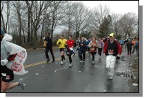 DSC_6502.jpg  (115.2 Kb)