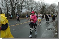 DSC_6510.jpg  (108.9 Kb)