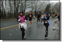 DSC_6529.jpg  (108.1 Kb)