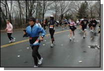 DSC_6546.jpg  (109.2 Kb)