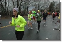 DSC_6550.jpg  (103.5 Kb)