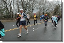 DSC_6558.jpg  (112.0 Kb)