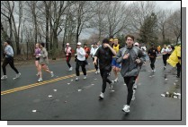 DSC_6596.jpg  (112.1 Kb)