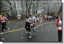 DSC_6604.jpg  (110.4 Kb)