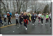 DSC_6618.jpg  (118.6 Kb)