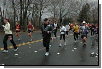 DSC_6643.jpg  (83.9 Kb)