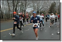 DSC_6650.jpg  (113.6 Kb)