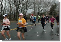 DSC_6692.jpg  (115.3 Kb)