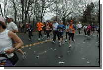 DSC_6780.jpg  (112.2 Kb)