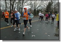 DSC_6781.jpg  (110.0 Kb)